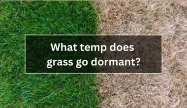 What temp does grass go dormant