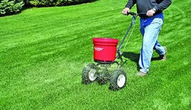 lawn fertilization