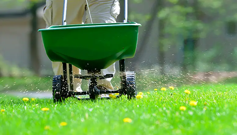 Lawn Fertilization